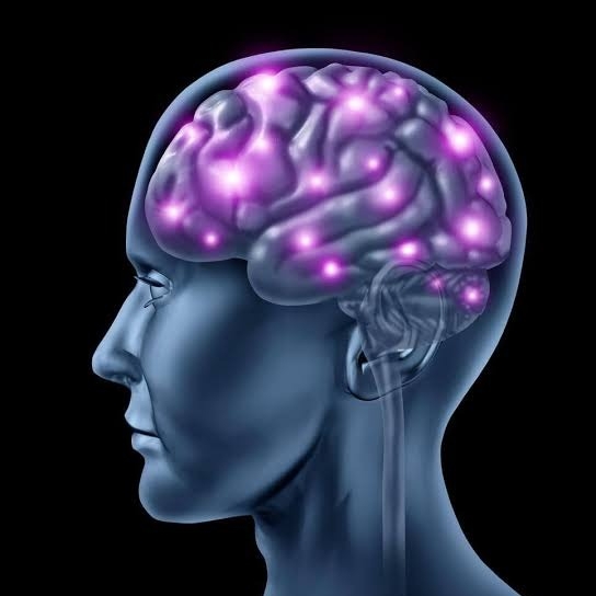 Neurociência Aplicada ao Comportamento